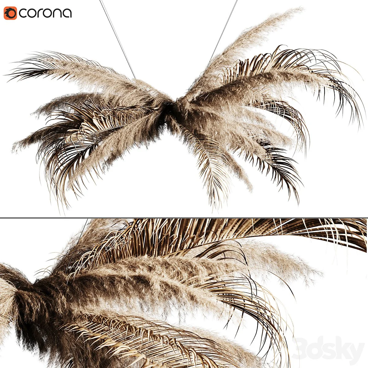 Pampas grass chandelier 02